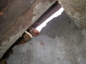 leaking roof image